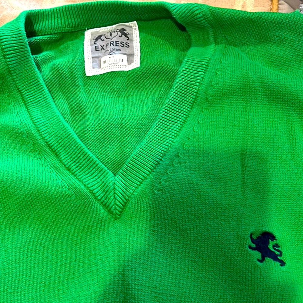 Express V Neck sweater!